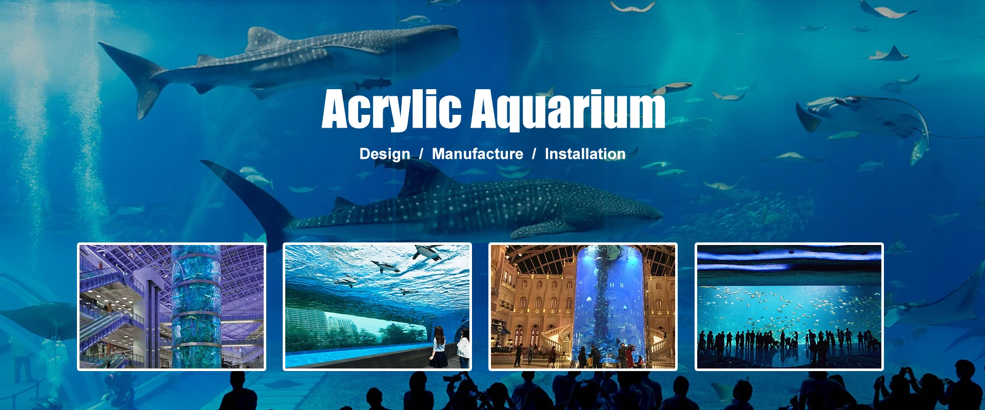 Proveedores de acuario acrílico de China