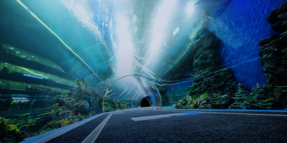 Acrílicos renovan a los oceanarios: las innovaciones tecnológicas de la eco de aguas profundas de China