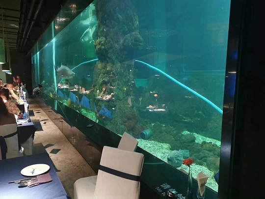 Crafting Aquatic Artistry: Panorama inmersivo de peces acrílicos para restaurantes temáticos