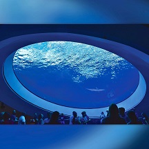Piscinas acrílicas: innovación liderando la nueva tendencia en la construcción de piscinas