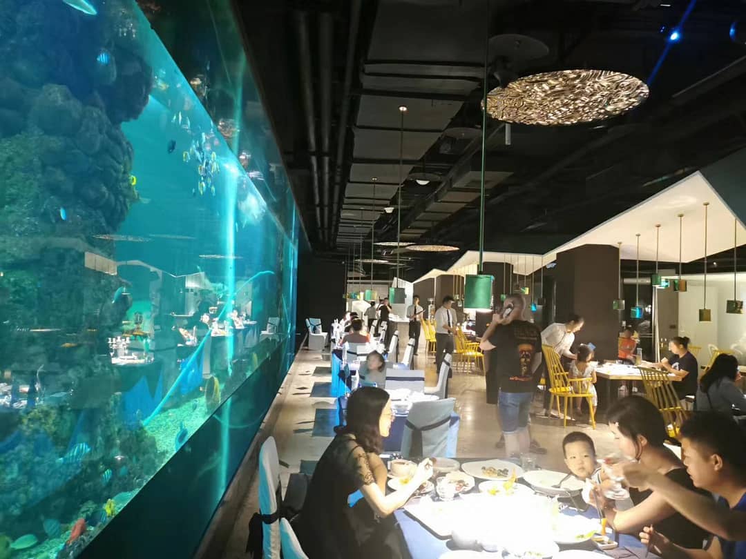 Restaurante acrílico acuático: un diálogo transparente entre tecnología y ecología de aguas profundas