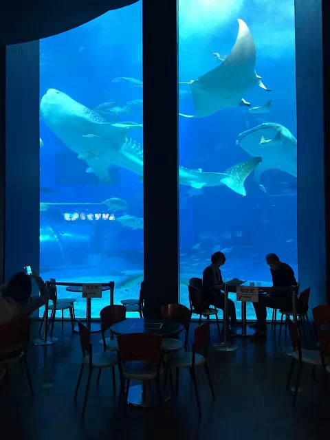¿Cuáles son los puntos clave de diseño para las ventanas de visualización del acuario?