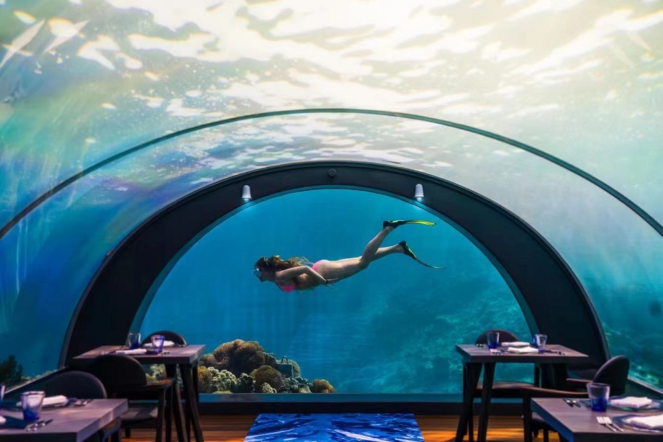 Ventana del acuario